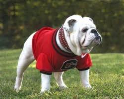 Uga