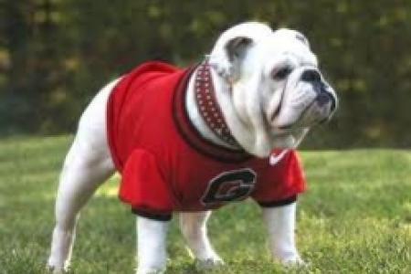 Uga