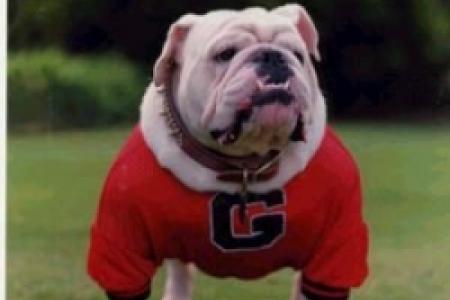 Uga