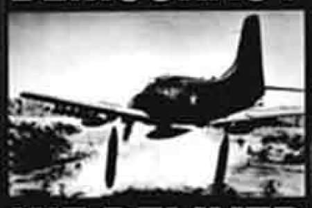 Democracy flyer